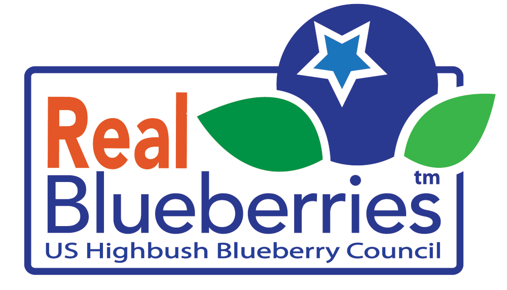 Blueberry Lemon Dip Mix - NEW & IMPROVED